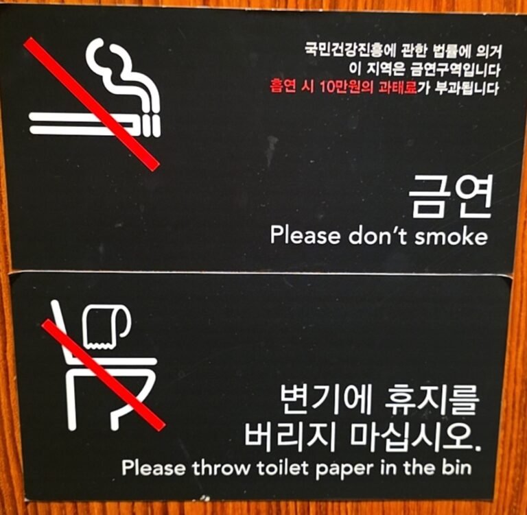 South Korea’s Toilet Paper Dilemma: Flush or Bin?A Guide for Foreign Travelers